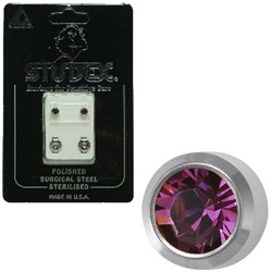 Birthstone Studs - Reg Bezel S/S - February / Amethyst